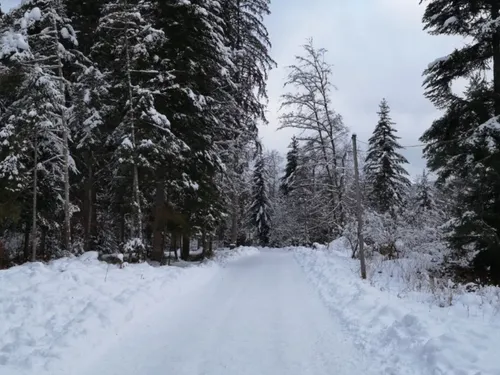Météo : Les Vosges sous la neige pour ce début de semaine