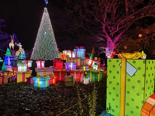 (Photos) : Le sentier des lanternes est de retour à Metz