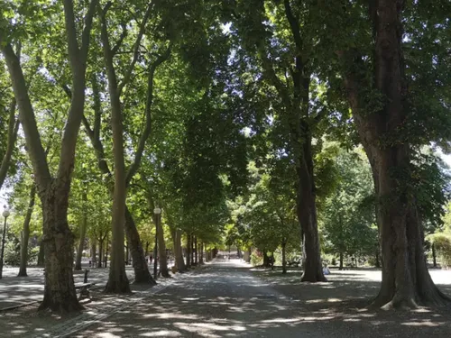 Météo : plusieurs parcs de la région de nouveau fermés ce mardi