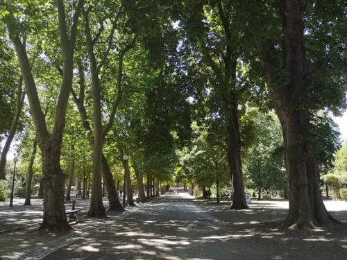Vigilance jaune au vent : Nancy ferme ses parcs