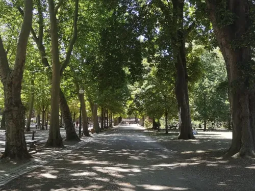Tempête Floriane : Nancy ferme ses parcs et cimetières