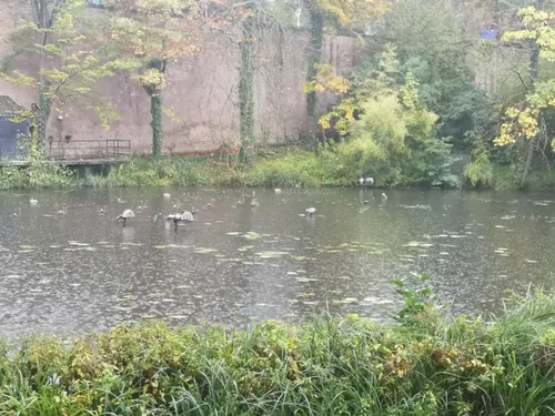 Tempête Kirk : un département lorrain placé en vigilance orange...