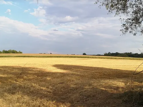 Sécheresse en Lorraine : de nouvelles restrictions annoncées !