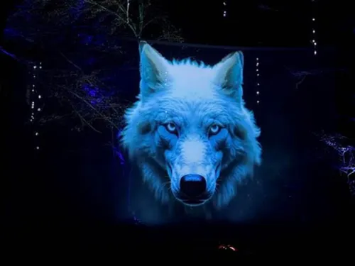 Idée de sortie : Le parc animalier de Sainte-Croix est rouvert !