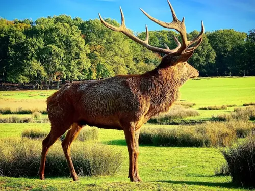 Le printemps et le Parc Animalier de Sainte Croix s'invitent dans...