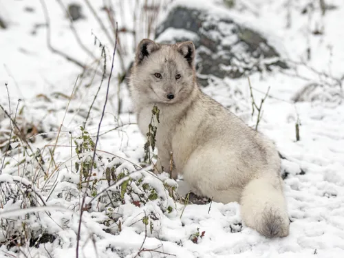 Idée de sortie : Sainte-Croix OUVRE EXCEPTIONNELLEMENT SES PORTES...