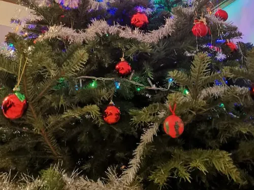 Metz : Que faire de son sapin de Noël après les fêtes ?