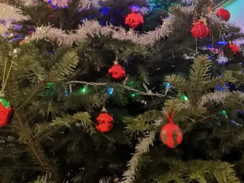 Metz – Nancy : où déposer son sapin après les fêtes ? 