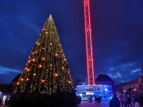Metz : Quand sera illuminé le sapin place de la République ? 
