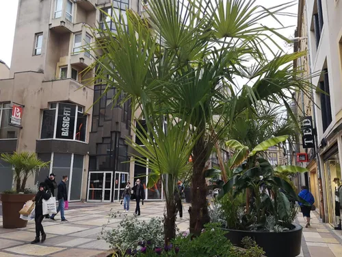 Travaux : Les rues Serpenoise et Ladoucette en chantier en 2023