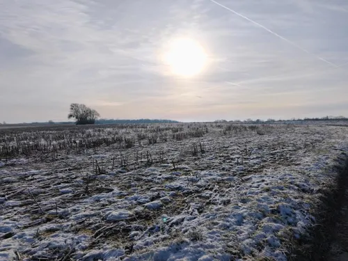 Météo : les quatre départements lorrains placés en vigilance jaune...