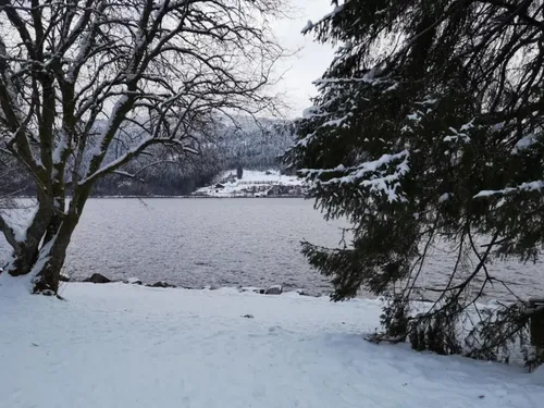 Dépression Caetano : Les Vosges placés en vigilance orange...