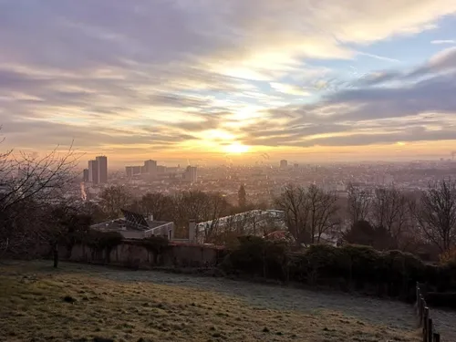 Nancy : des montons ambassadeurs de l’éco pâturage