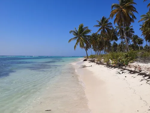 Coupe de France : un club lorrain ira jouer en Nouvelle-Calédonie