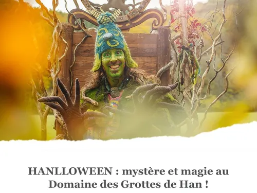 Vos places pour les Grottes de Han sur Lesse sont à gagner sur...