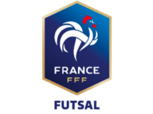 Sport : L’équipe de France de Futsal jouera bientôt à METZ