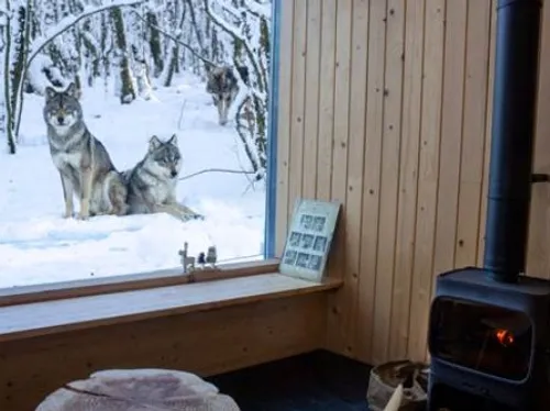 Le parc animalier de Sainte-Croix n’hiberne pas pendant l’hiver