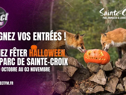 Parc Animalier de Sainte-Croix : Vos places pour fêter Halloween