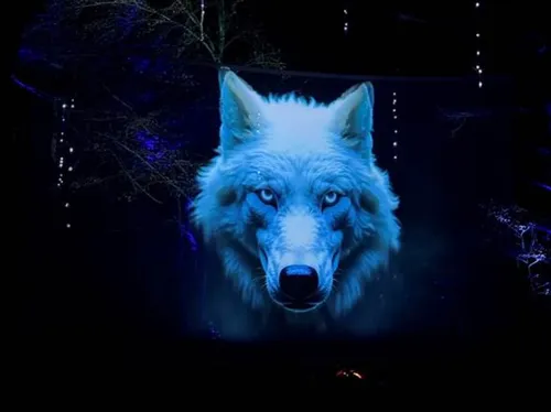 A gagner dans le Wake Up des Lorrains : vos places pour le Parc...