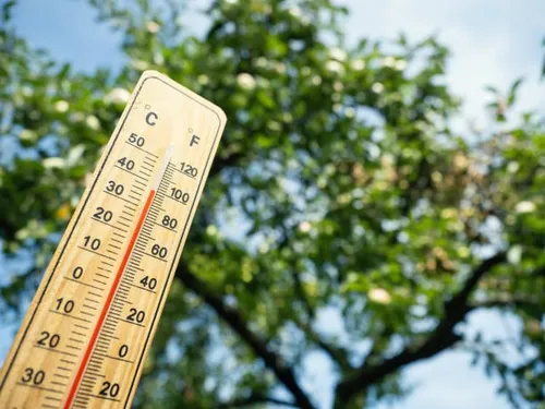  Metz : un plan canicule lancé ce mercredi