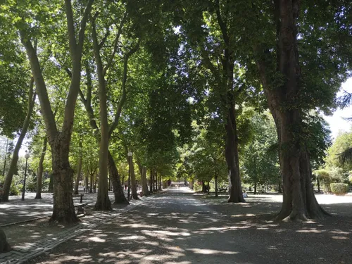 Le parc de la Pépinière se met au vert ce week-end