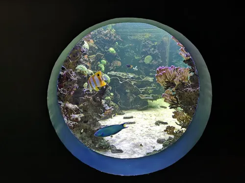 Des animaux qui font peur et la folie de l’Amazonie au Muséum...