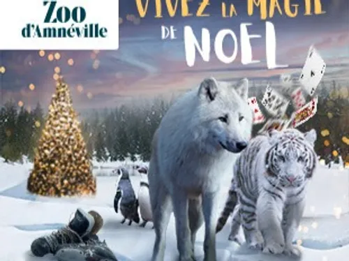 Moselle : La féérie de Noël au ZOO !