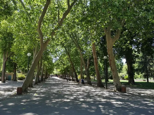 Vigilance orange aux orages : Nancy ferme ses parcs dés cet après-midi