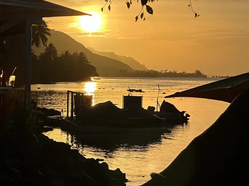 Destination voyage : à la découverte de la Polynésie française