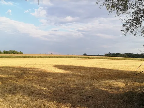 Météo : alerte sécheresse renforcée en Meurthe-et-Moselle