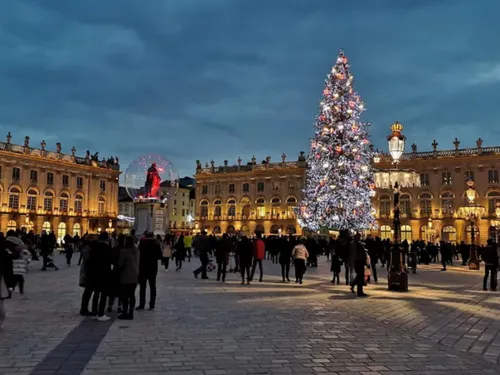 Fête de la Saint-Nicolas : le sapin est arrivé sur la place Stanislas