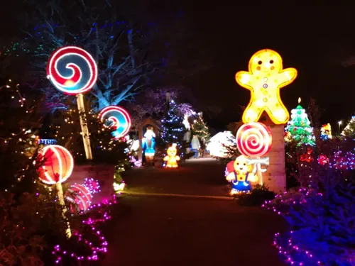 Metz : Le Sentier des Lanternes fait son retour cette semaine