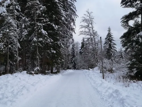 Météo : les premières neiges de la saison en Lorraine