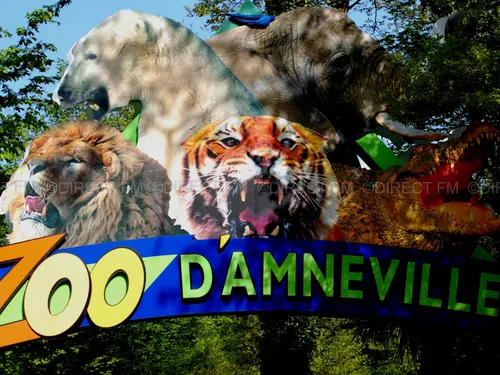 Lorraine : naissance d’un bébé orang-outan au zoo d’Amnéville