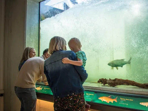 Visites privilèges des coulisses de la passe à poissons