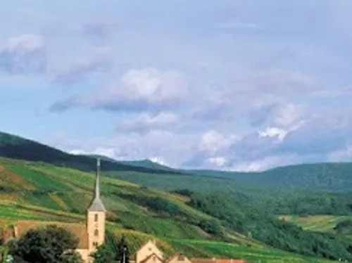 NUIT du CREMANT et FETE du VIN