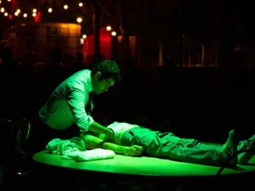 11e Festival Compli'cité - Hiboux