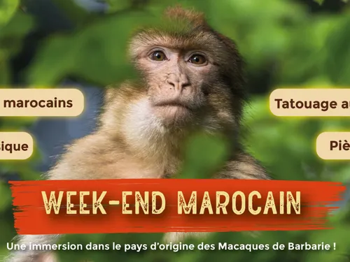 Week-end festif autour du Maroc à la Montagne des Singes