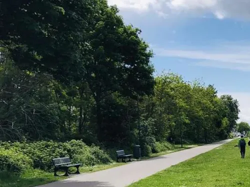 Le premier Open Street Fishing de Mulhouse 