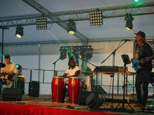 Concert : Jahmming Collectif (Reggae Electo)