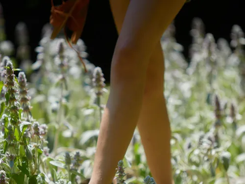 Fête du Sentier Pieds-Nus - Parc de Wesserling