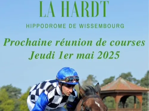 Courses hippiques du jeudi 1er mai 2025