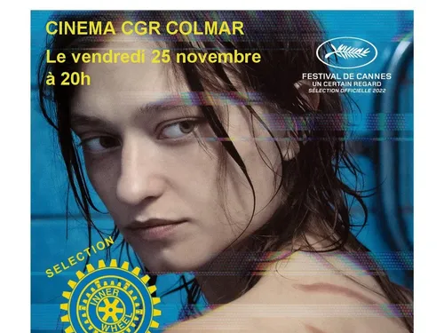 Ciné-débat pour la Journée de lutte contre les violences faites aux...