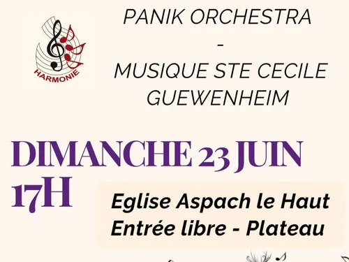 Concert du Panik Orchestra