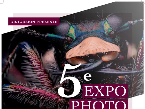 5eme Exposition Photo 