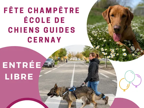 CHIENS GUIDES DE L'EST / FETE CHAMPETRE