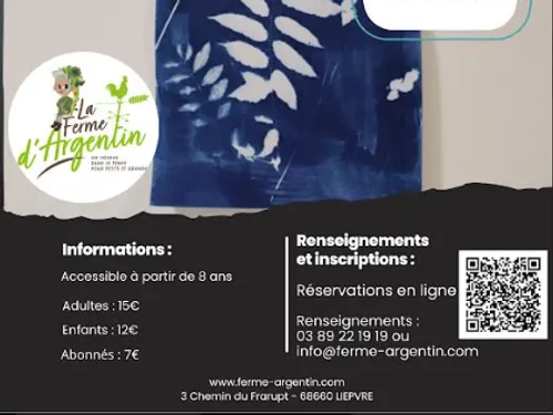 Atelier d'initiation Cyanotype 