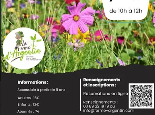 Découverte des végétaux et fabrication d'un baume  