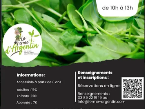 Cuisiner avec la nature 