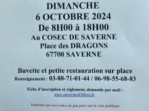 15ème marché aux puces / brocante à Saverne 
